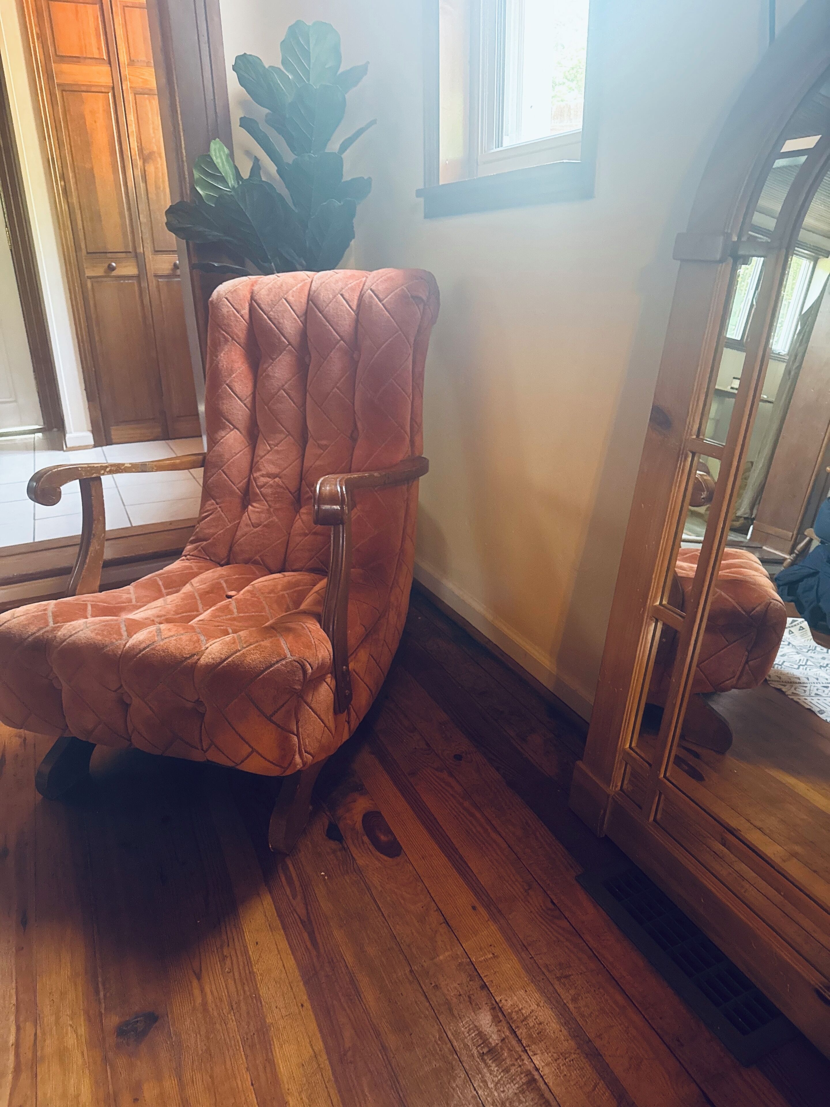 Una habitación de esquina con piso de madera, una planta grande en maceta y una silla de madera.