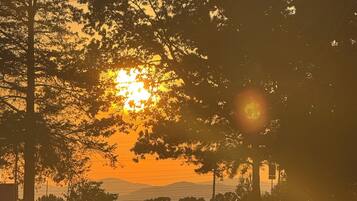 A sunset view with trees and a road.