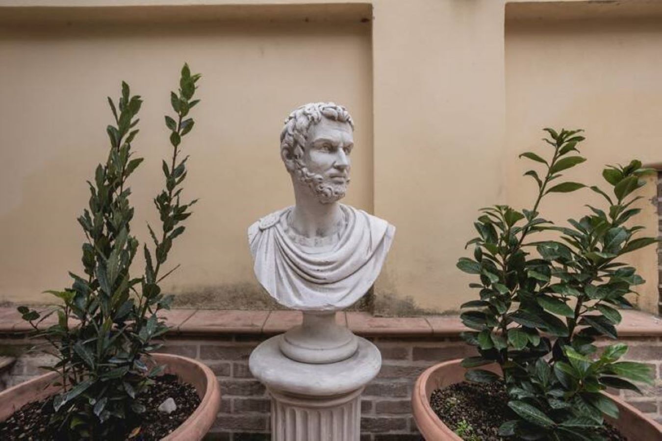 Une sculpture en marbre représentant un buste, placée entre deux plantes en pot.