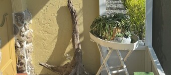 Charming 2-bedroom house with WiFi, AC in fabulous Lake Placid