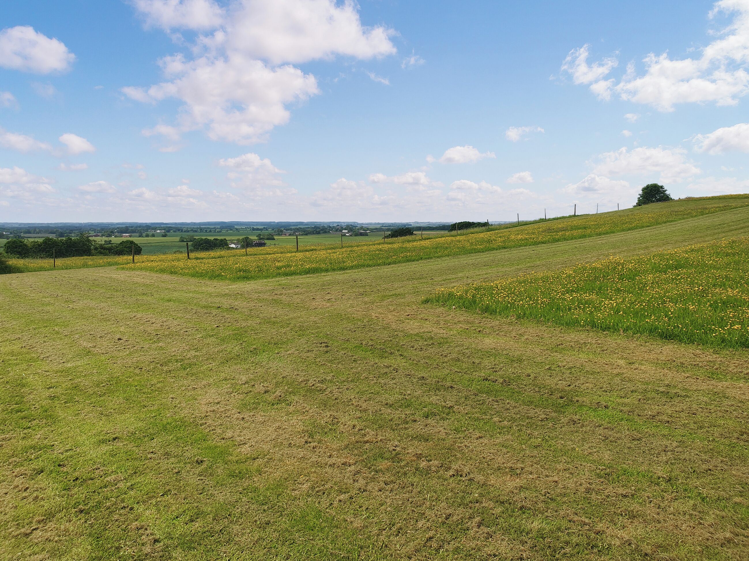 A grassy field with a hill and a clear sky.