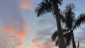 A marina with boats docked, palm trees, and a thatched-roof structure. - Cozy condotel with King Bed, WiFi, great pool, fitness room and much more! (Sarasota)