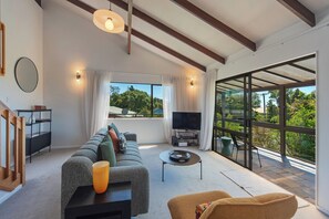 TV connectée, lecteur de DVD, livres