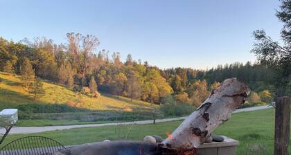 Historical 2 story private 3 bedrooms ranch cabin in Colfax on 14 acres