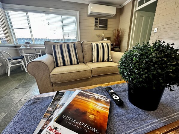 Smart TV, fireplace, DVD player, books