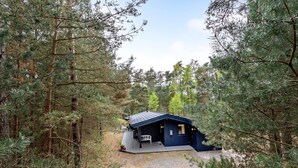A cabin in a forest with a gravel path leading to it.