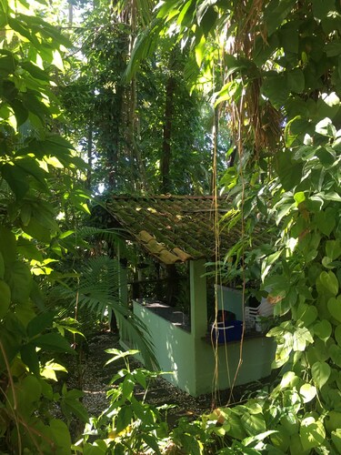 Family house 40m from Babitonga Bay - Kitchen open to the forest!