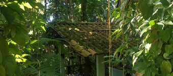 Family house 40m from Babitonga Bay - Kitchen open to the forest!