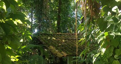 Family house 40m from Babitonga Bay - Kitchen open to the forest!