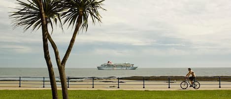 靠近海滩、白沙