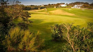 Un campo de golf con una bandera, rodeado de follaje y casas al fondo.