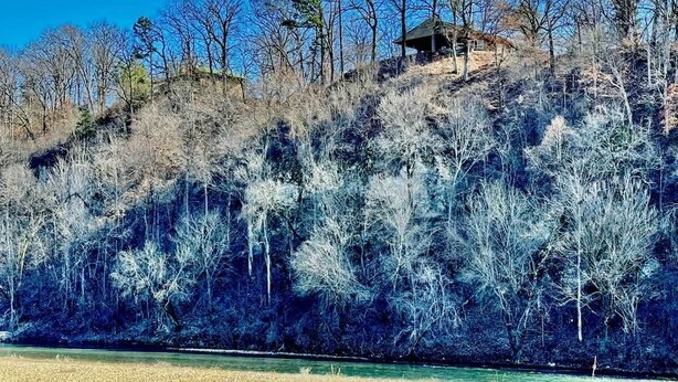 A cabin on a hill with a view of a river and trees. - Buffalo Cabin Gorgeous Illinois River view (Tahlequah)
