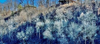 Buffalo Cabin Gorgeous Illinois River view