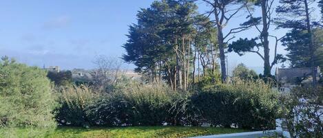 Àrea exterior de l'allotjament