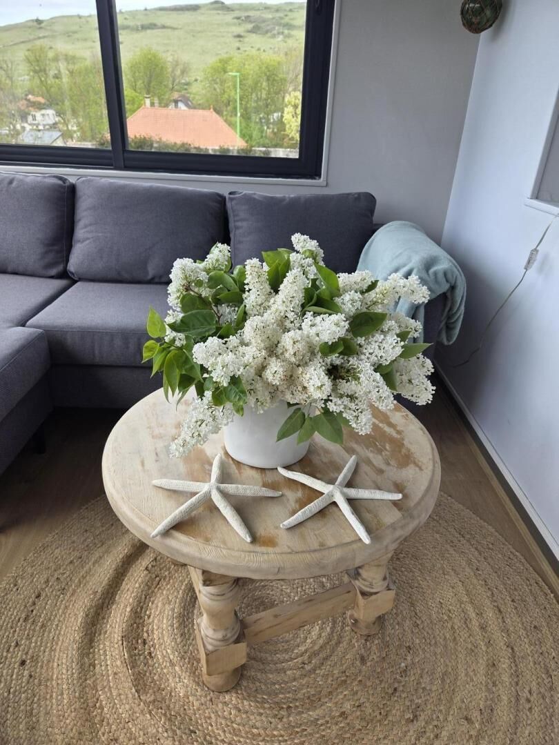 A room with a sofa, a round wooden table with a white vase of flowers, starfish decorations, and a view of greenery outside.