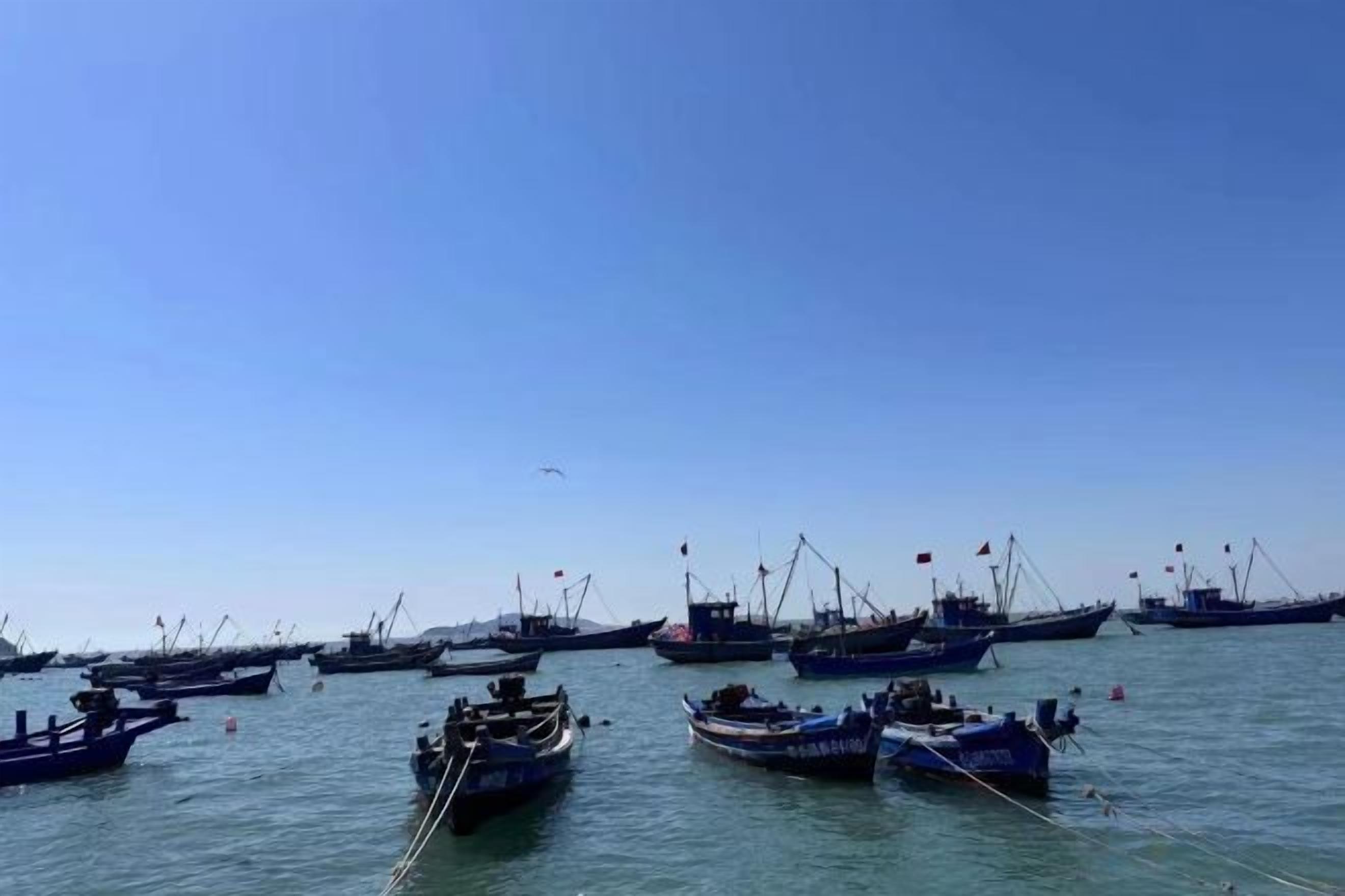 A harbor with multiple boats docked.