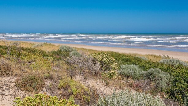 A beach with a sandy shore and sparse vegetation. - 60 Beach Road, Goolwa South (Goolwa South)