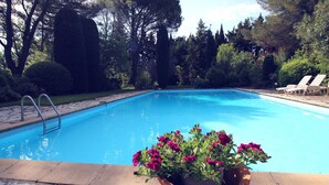 A swimming pool with a wooden deck and a flower pot with pink flowers in the foreground. - Beautiful land house in Noves near Avignon, private pool, pets allowed (1). (NOVES)