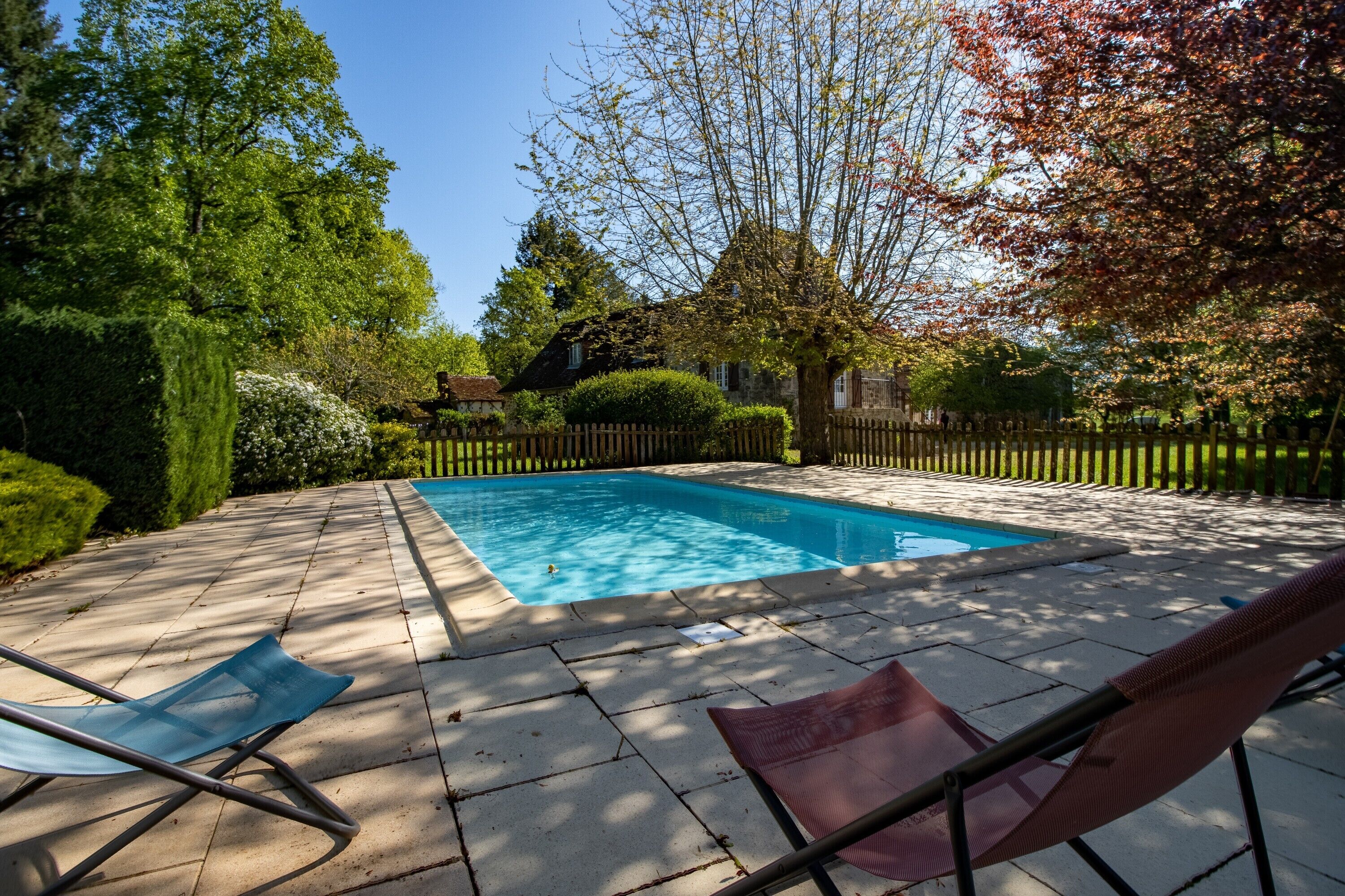 A swimming pool with two lounge chairs, surrounded by a wooden fence and lush greenery.