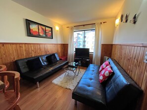 Living area - Road to the volcano (Pucon)