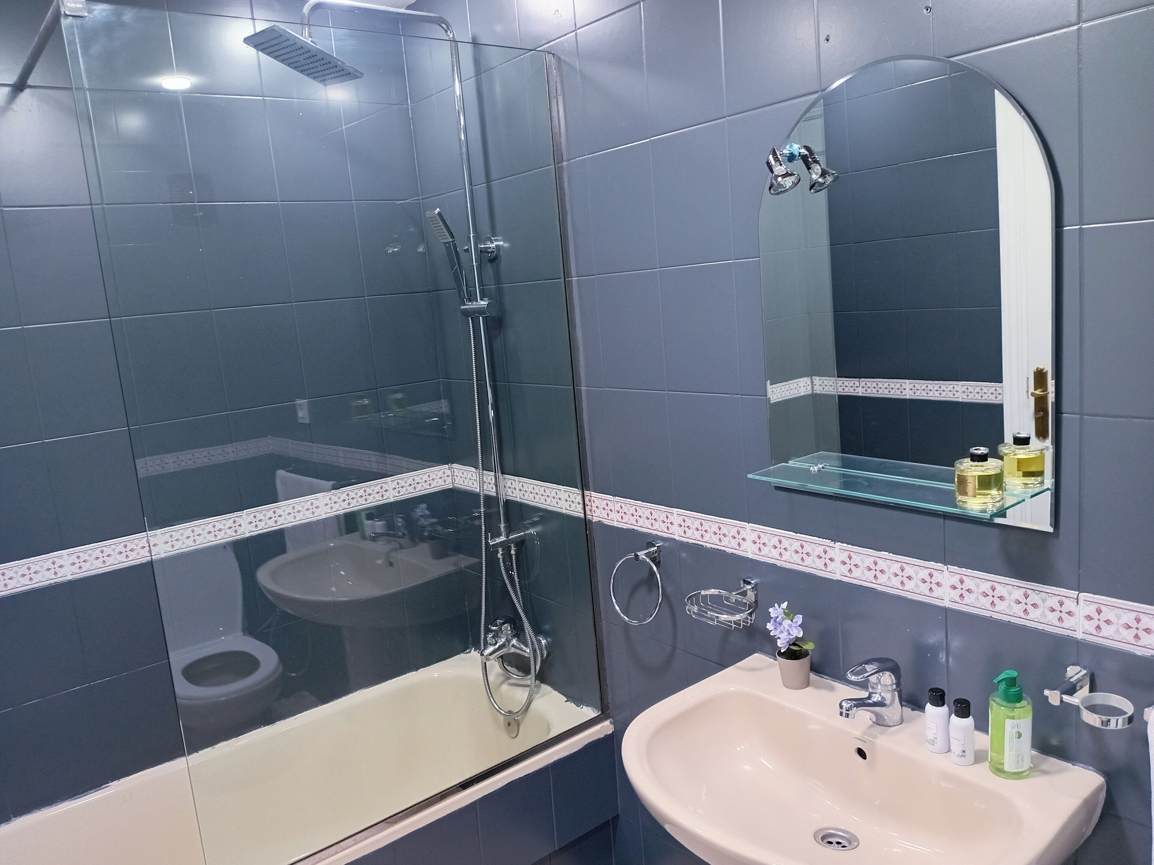 Hair dryer, bidet, towels, soap