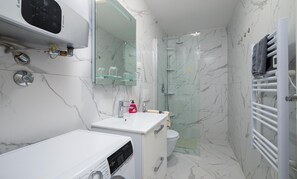 Shower, hair dryer, toilet paper