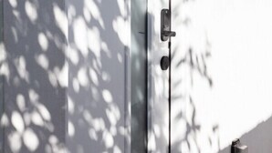 A door with a handle and a keyhole, partially obscured by shadows from tree leaves.