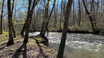 A forested area with a river.
