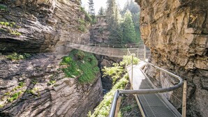 Un puente colgante en un cañón rocoso con abundante vegetación y árboles.