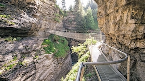 A suspension bridge in a rocky canyon with lush greenery and trees. - Cristal by Interhome (Leukerbad)