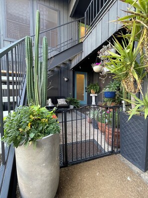 Exterior detail - Keep Austin Cozy! - Central Retreat (Austin)