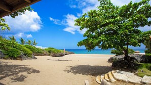 A beach with a clear view of the ocean, a tree, and a wooden structure. - Rheia Properties - Sosua Ocean Village (Sosúa)