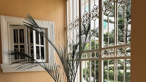 A potted plant in a hallway with a large window and a door. - JUN YUE Abuja hotel (Abuja)