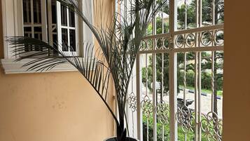 Vista desde la habitación