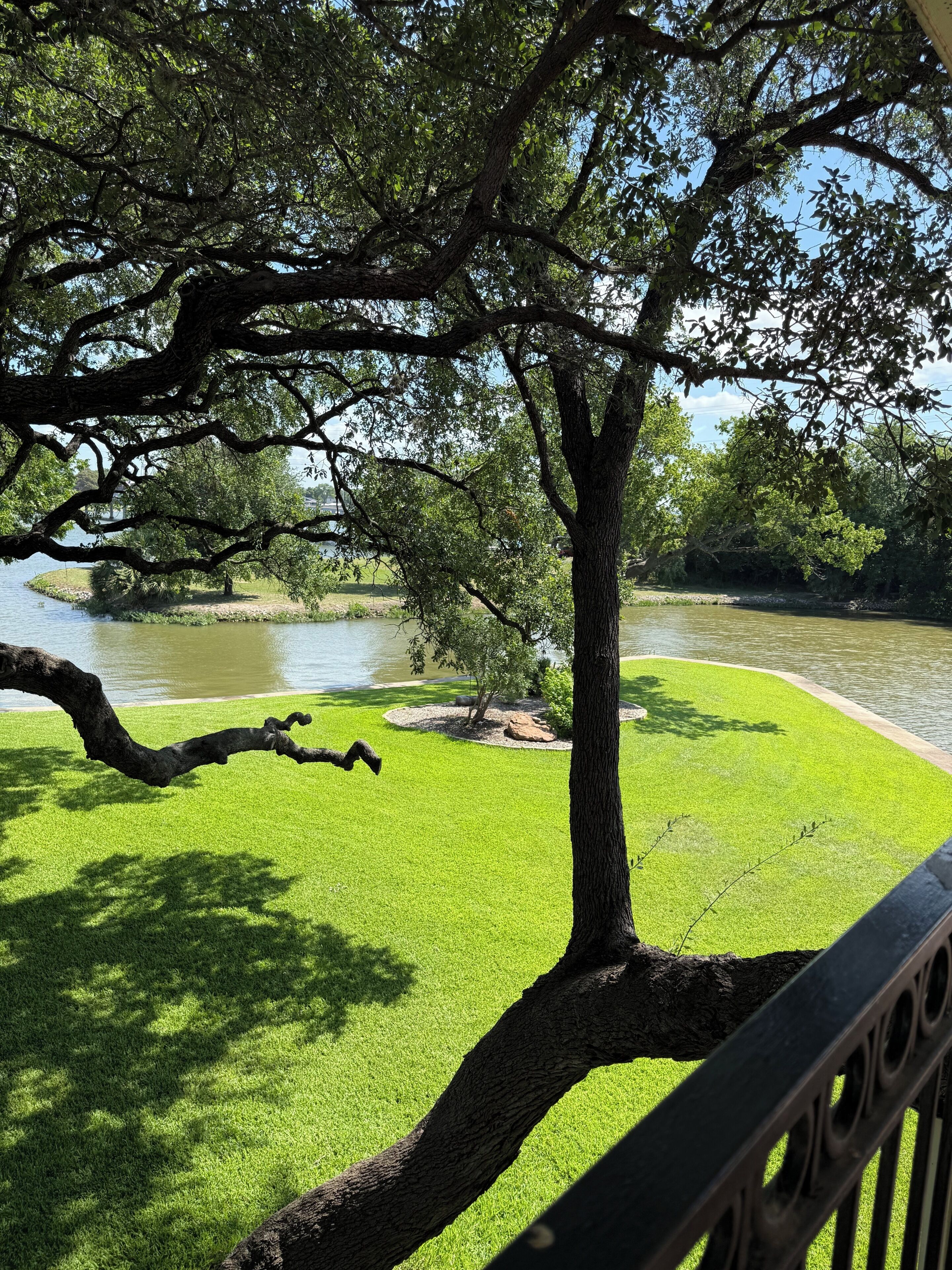 A tree-lined view of a river with a grassy area and a metal railing.