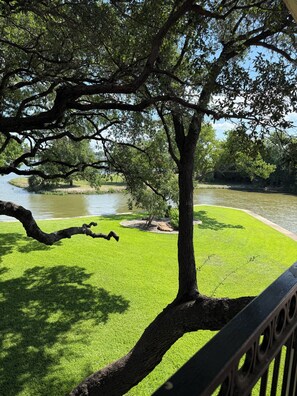 A tree-lined view of a river with a grassy area and a metal railing. - Beautiful yard with TONS of waterfront! (Kingsland)