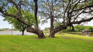 A park with a large tree and a body of water.