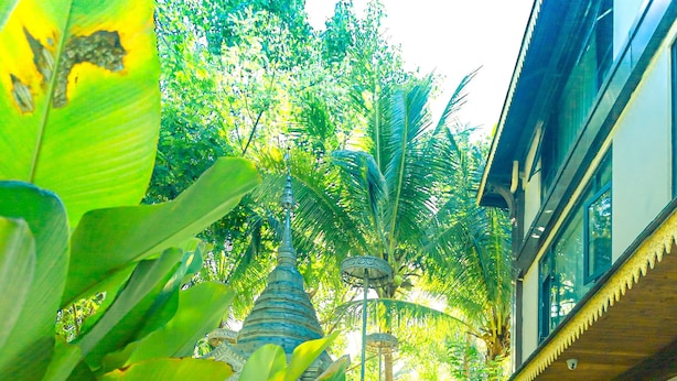 A wooden deck with a table and chairs, surrounded by lush tropical plants and a building with a traditional architectural style. - Yun Guan Shunde Renjia Resort Hotel (Xishuangbanna Dai)