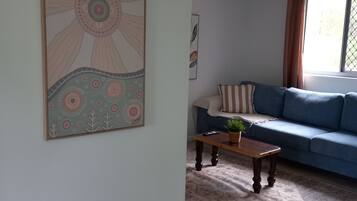 Smart TV, fireplace, books
