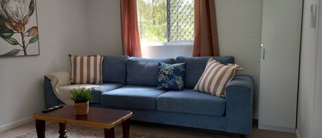 Smart TV, lareira, livros