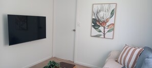 Smart TV, fireplace, books