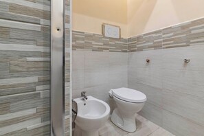 Shower, hair dryer, bidet, towels