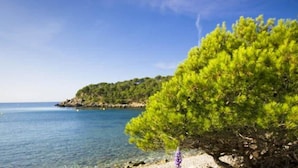 A coastal landscape with a clear sky, a body of water, and a tree with green foliage. - 2210 - MIRADOR II 55 WONDERFUL SEA VIEW, IDEAL SITUATION FOR HIKING, 150m. FROM THE BEACH OR FROM THE ROCKS. (Roses)