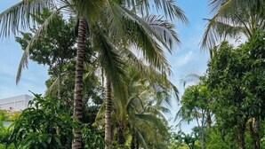 A pathway lined with palm trees and tropical plants, leading towards a body of water. - Aqua Vista Hoi An Beachfront Villas (Da Nang)