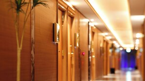 Un pasillo de hotel con puertas de madera, una planta en maceta y un cuadro en la pared.