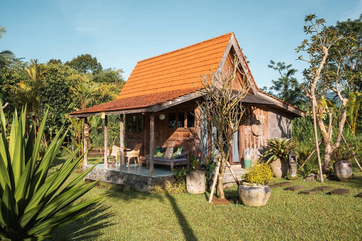 Uma casa de madeira rústica com telhado de telhas vermelhas, rodeada por vegetação exuberante e plantas em vasos.