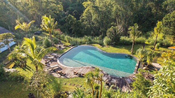An infinity pool surrounded by lush greenery and palm trees, with wooden deck seating and a clear view of the surrounding forest. - Desa Seni  (Baturiti)
