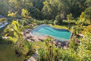 An infinity pool surrounded by lush greenery and palm trees, with wooden deck seating and a clear view of the surrounding forest.