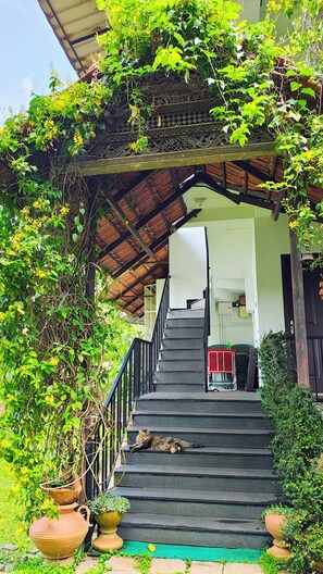 Front of property - Pearl Spot (Aluva)