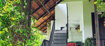 Pearl Spot